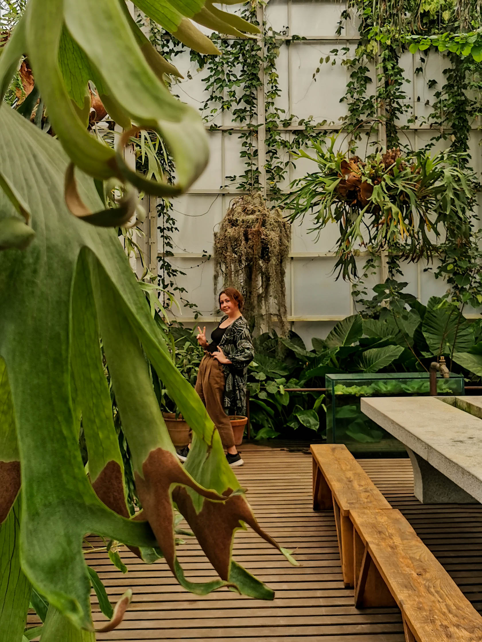 babylonstorenspicehouse Saffron's Garden